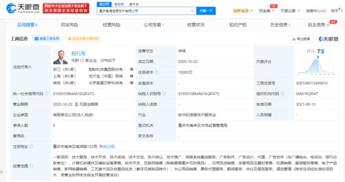 螞蟻科技關聯公司注冊資本大幅增資，聚焦信息系統集成領域